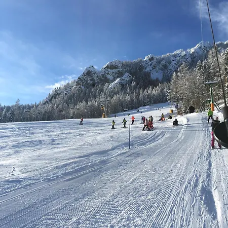 Bluebird * 克拉尼斯卡戈拉